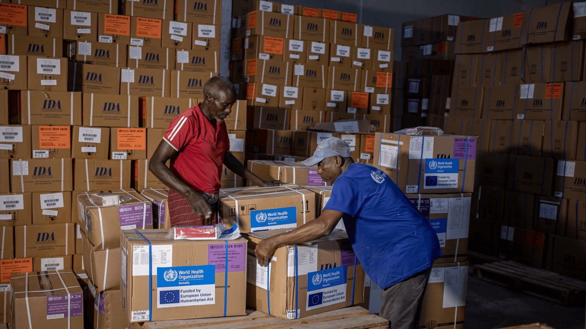 Supply Chain Consulting